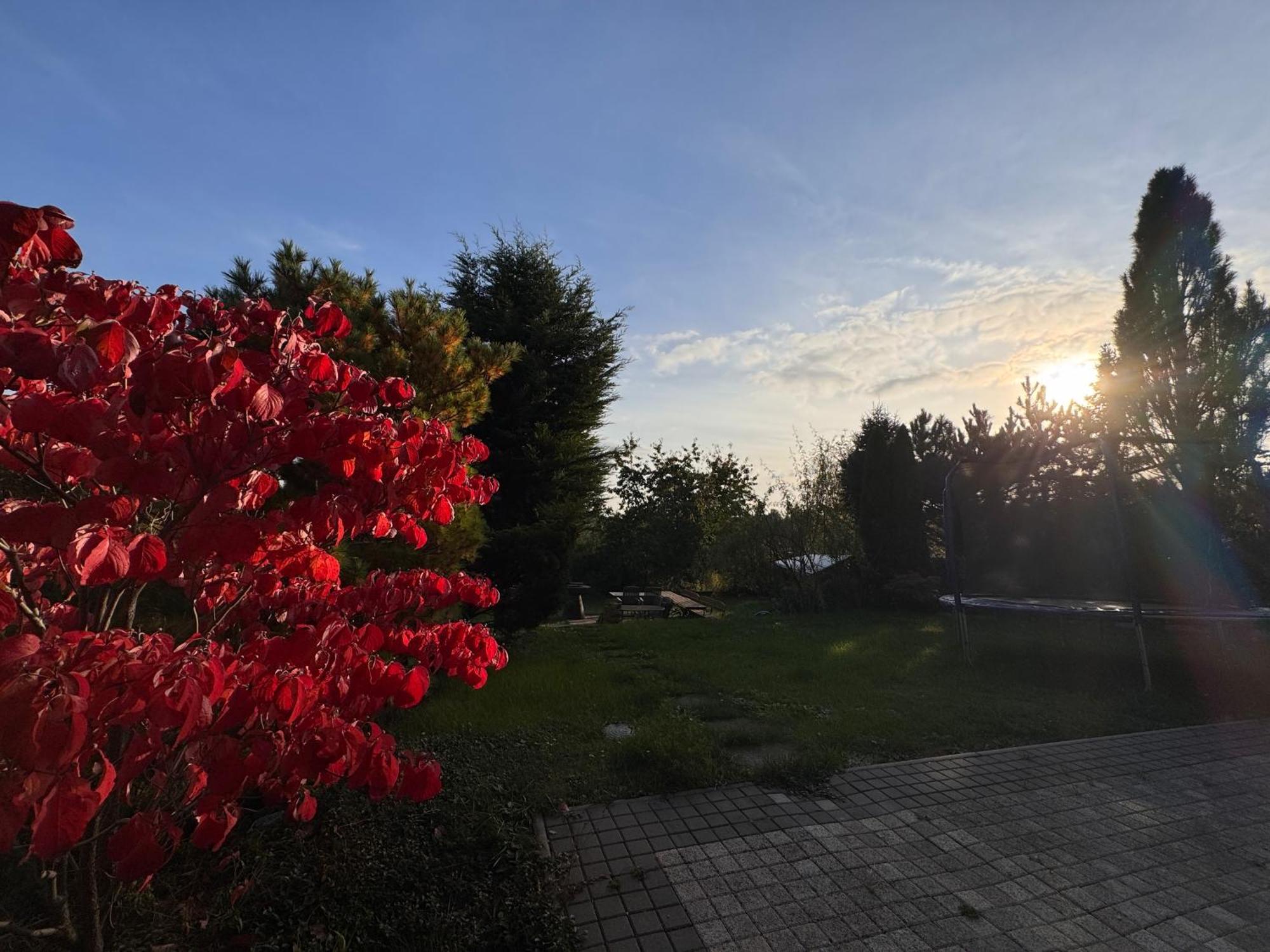 Diamondvilla, 4 Bedroom Apartment, Garden & Spa Prague Luaran gambar